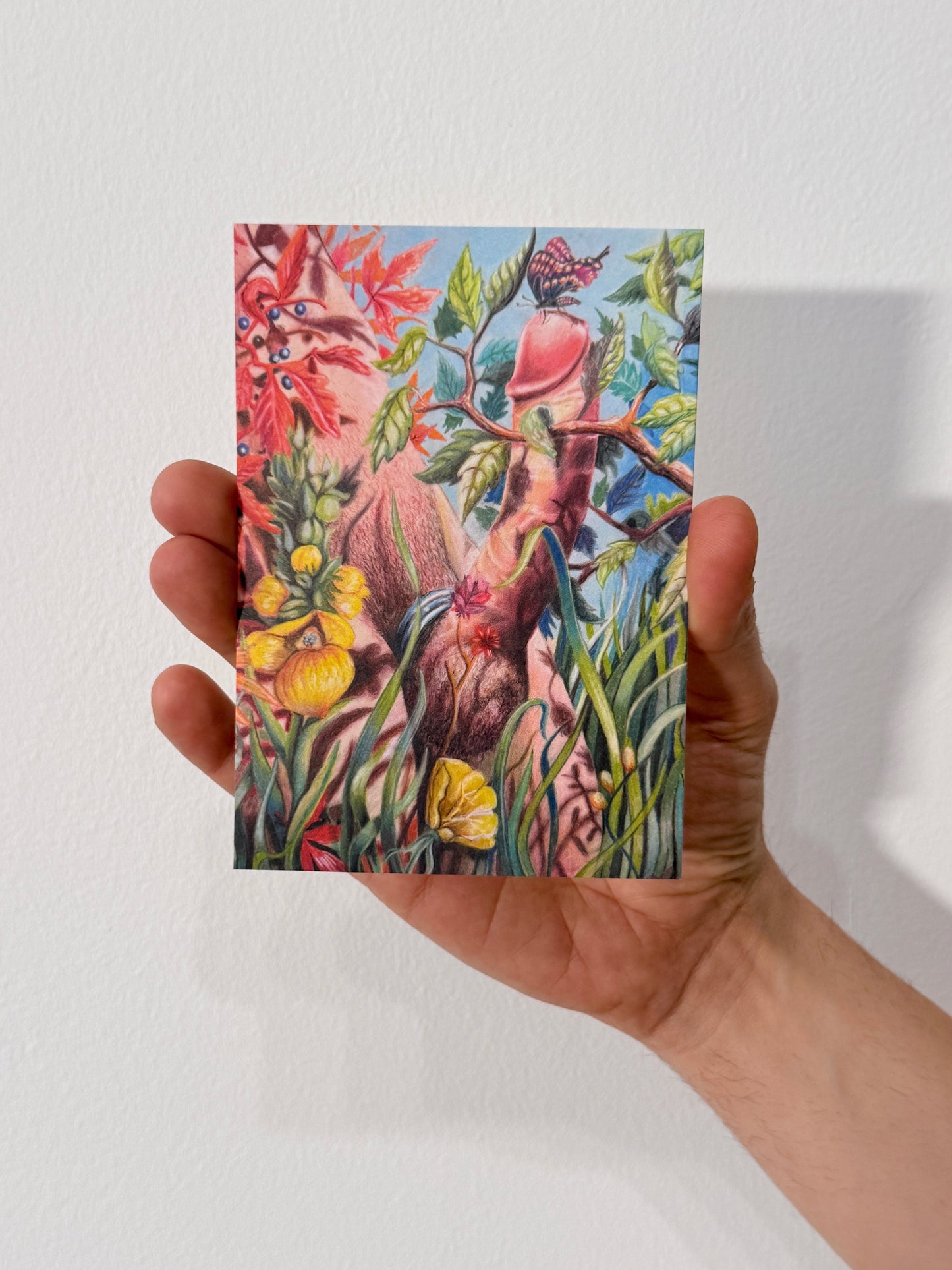 Hidden Love Postcard Set