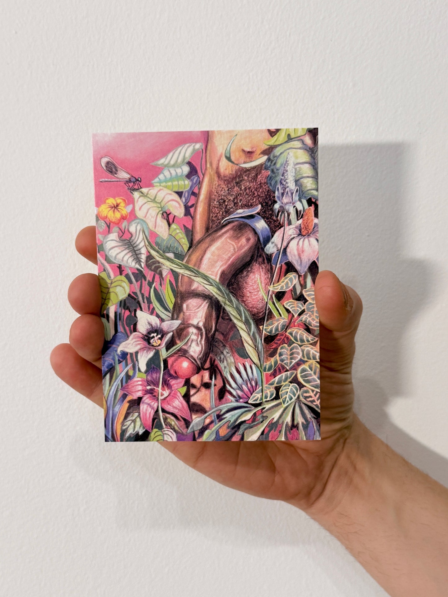 Hidden Love Postcard Set