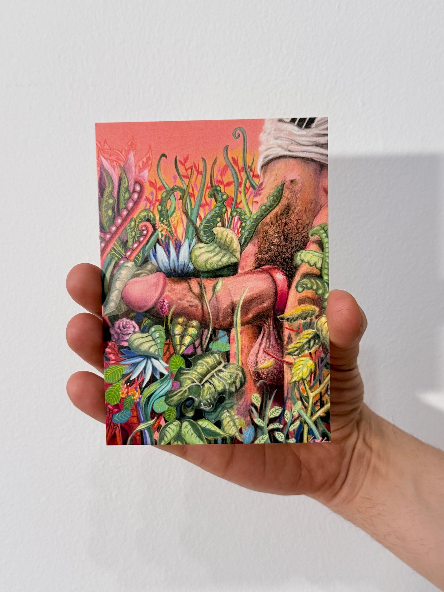 Hidden Love Postcard Set