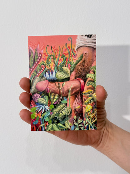 Hidden Love Postcard Set