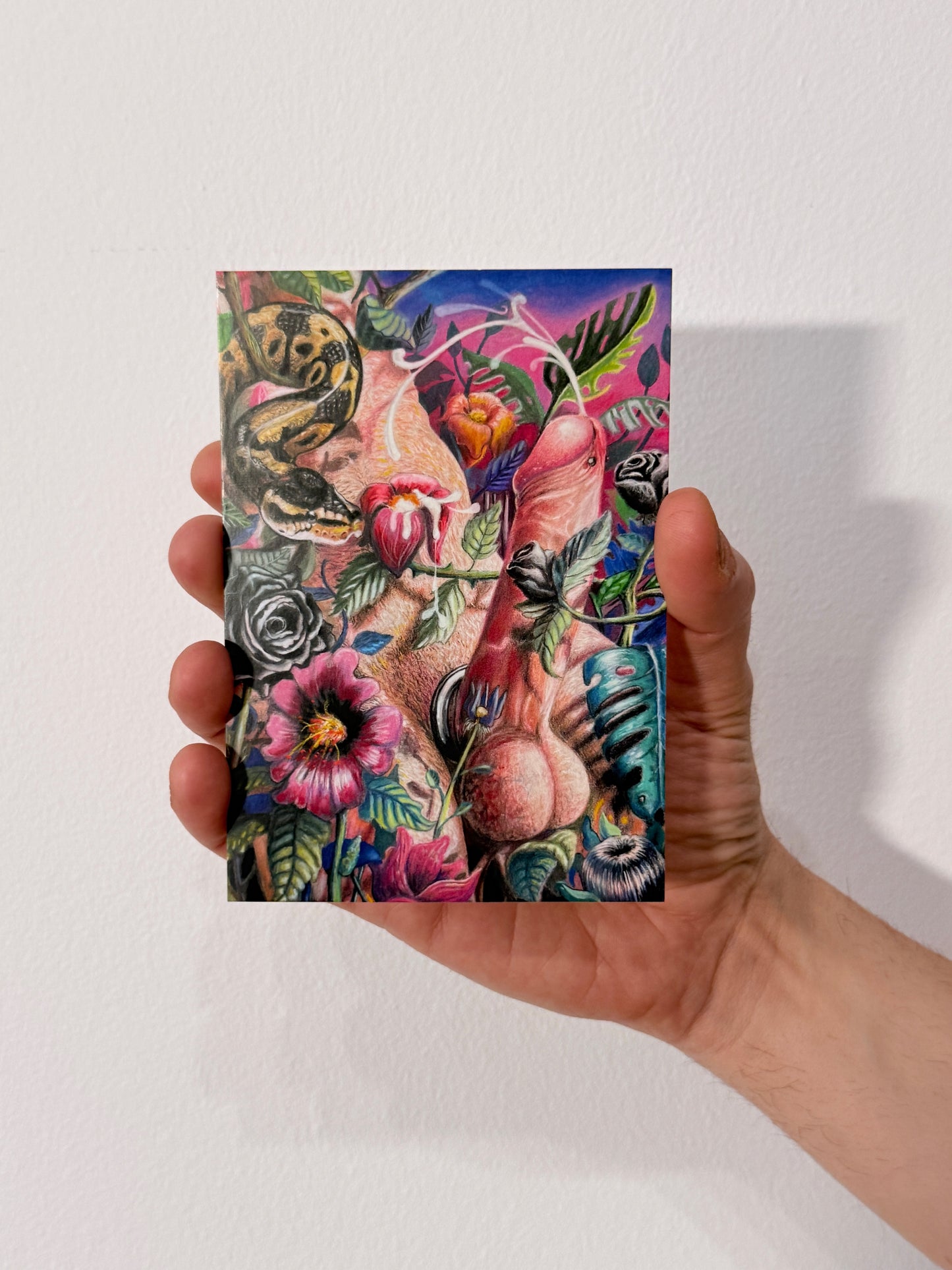 Hidden Love Postcard Set