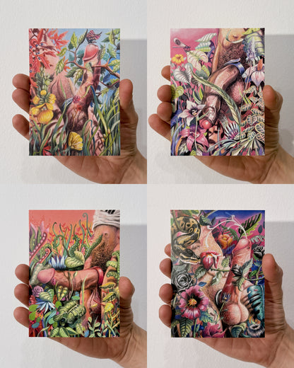 Hidden Love Postcard Set