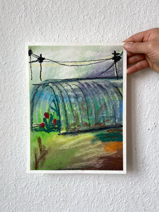 The Tomatoes and the Fog