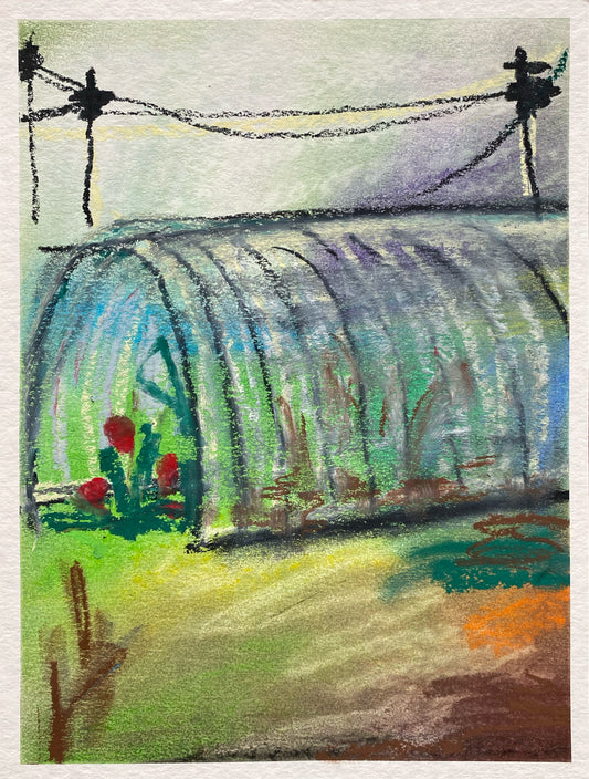 The Tomatoes and the Fog