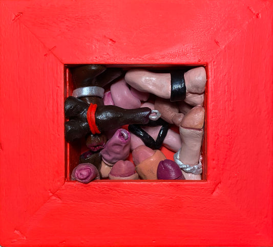 Dickversity #6 - Tiny House Edition