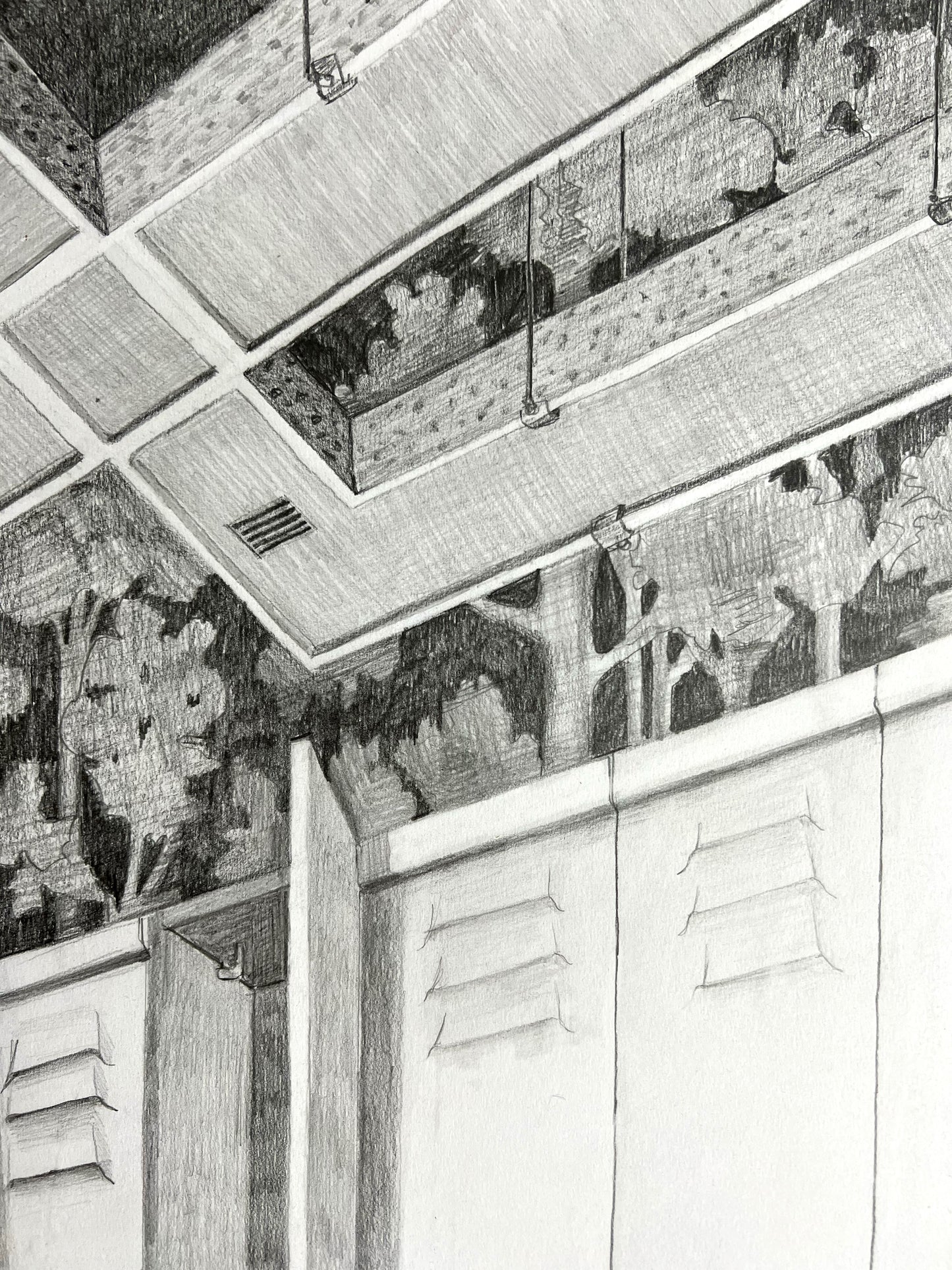The Changing Room in the Forest